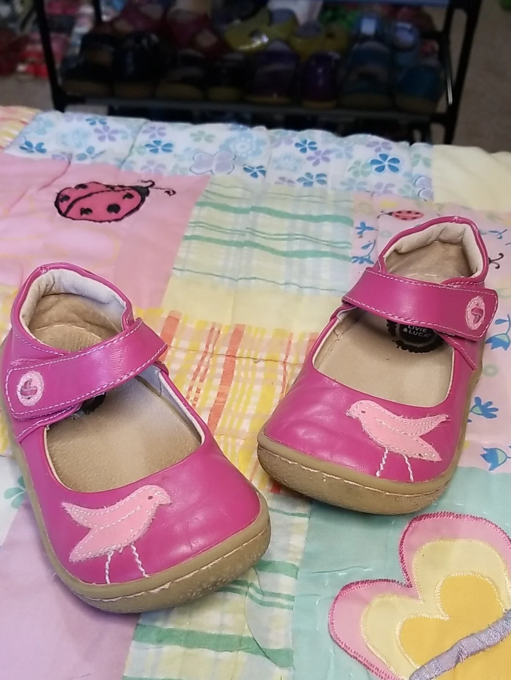 Livie & Luca Pink Leather Mary Janes with Pink Glitter Bird Size 7 Pio Pio